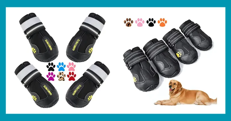 best dog walking shoes